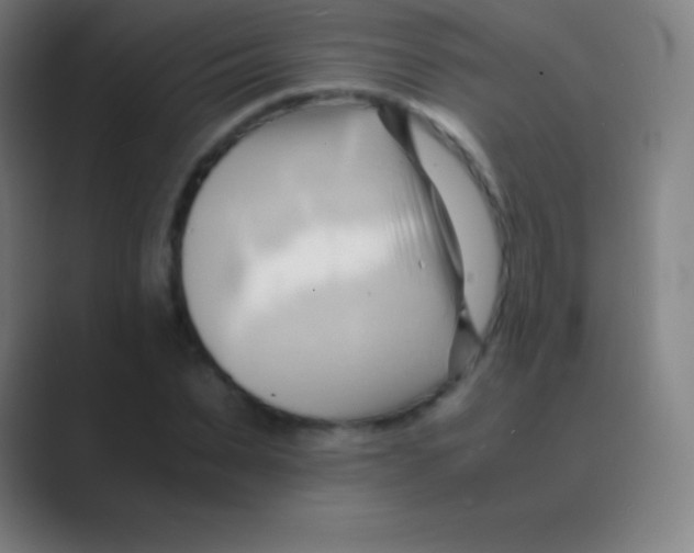 X0000088740879200706282142