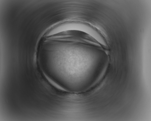 X0000088740880200706282142