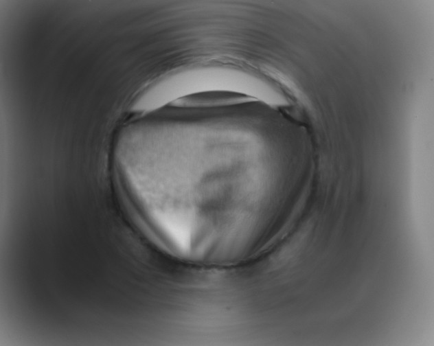 X0000088740881200706282142