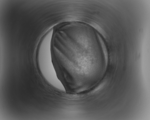 X0000088740885200706282142