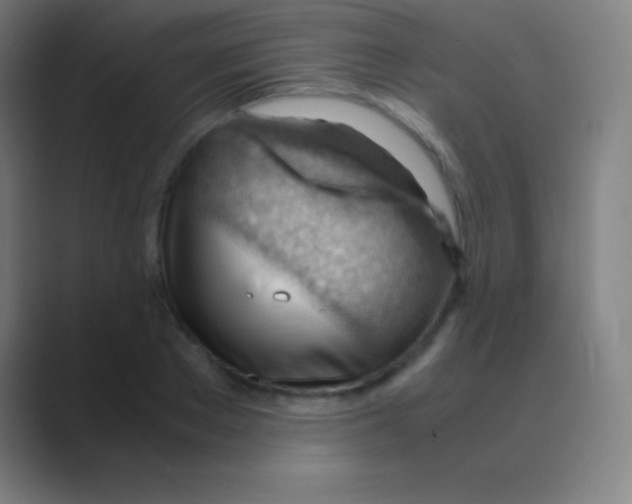 X0000088740889200706282142