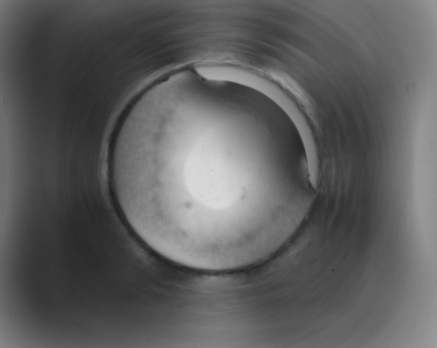 X0000088740894200706282142