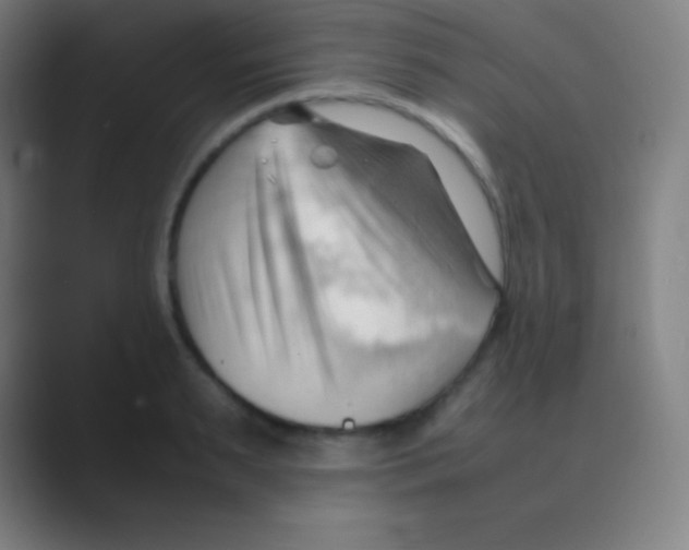 X0000088740895200706282142