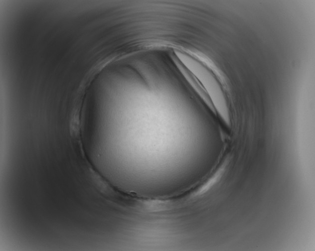 X0000088740897200706282142