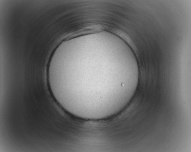 X0000088740898200706282142