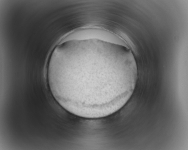 X0000088740900200706282141