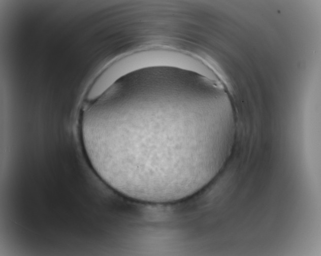 X0000088740901200706282141