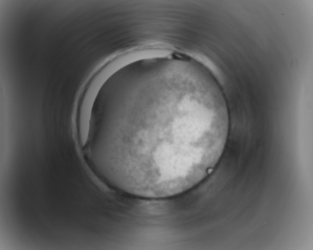 X0000088740902200706282141