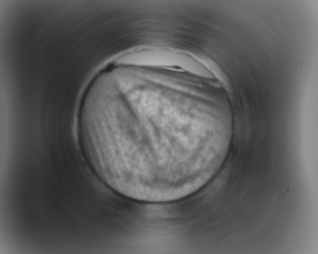X0000088740904200706282141