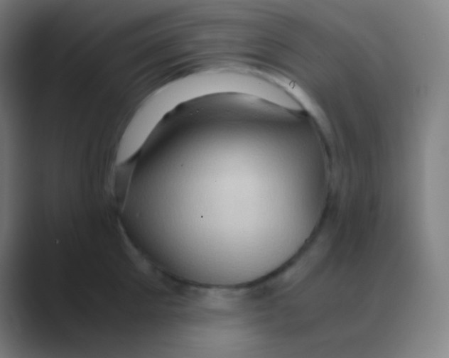 X0000088740905200706282141