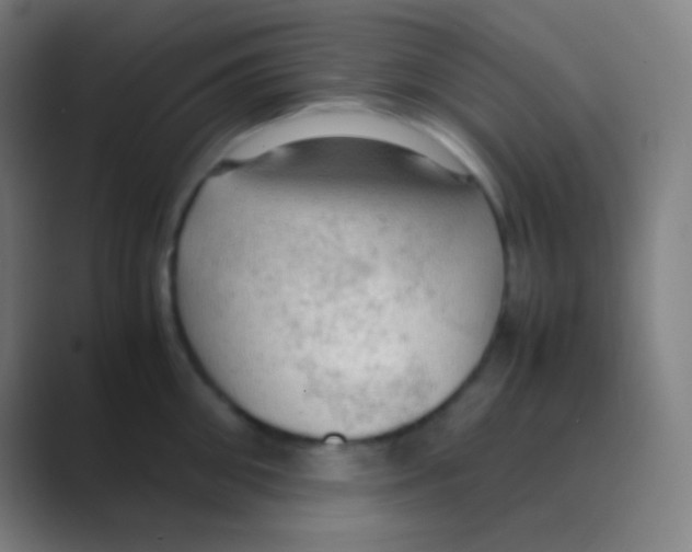 X0000088740906200706282141