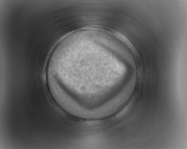 X0000088740908200706282141