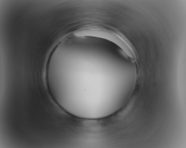 X0000088740909200706282141