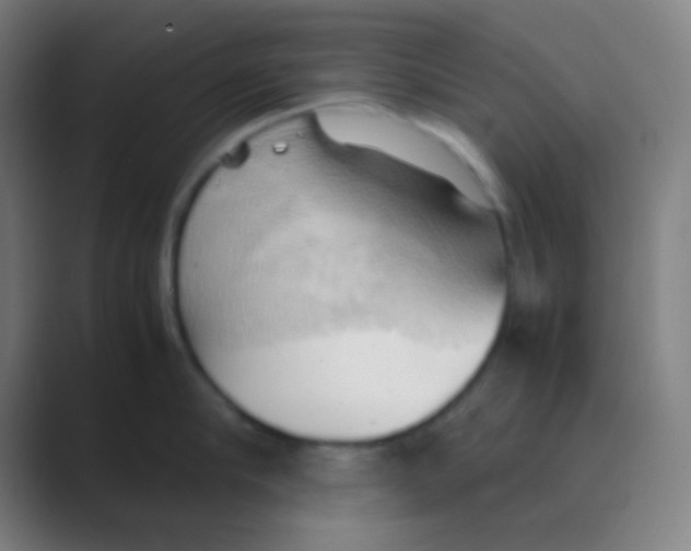 X0000088740910200706282141