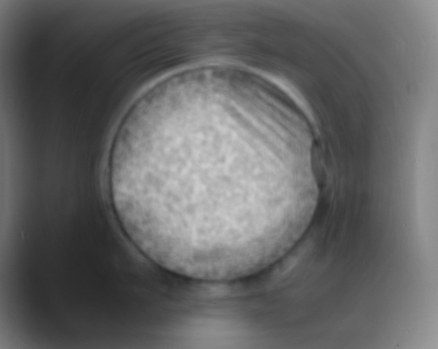 X0000088740911200706282141