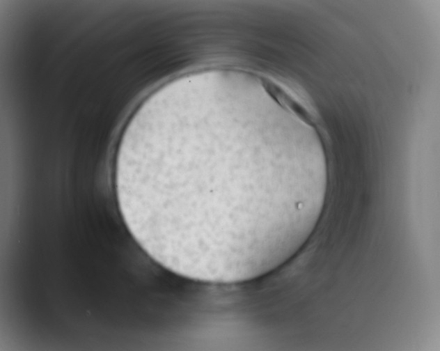 X0000088740912200706282141