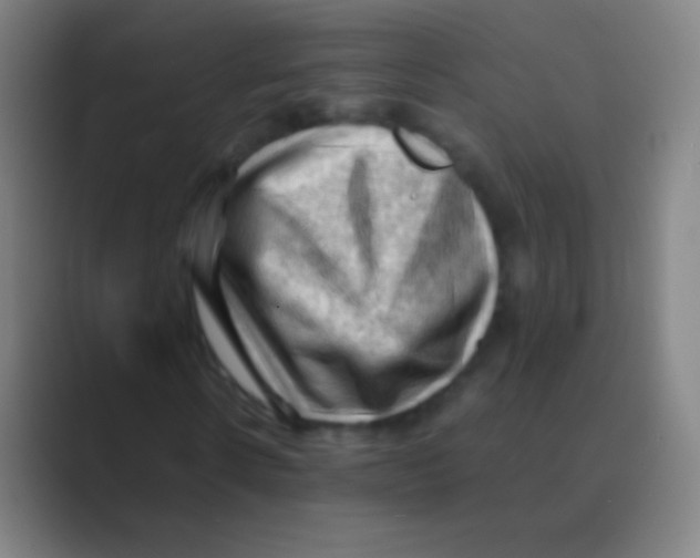 X0000088740914200706282141