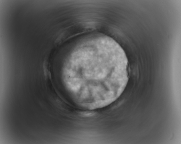 X0000088740916200706282141