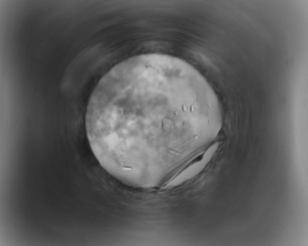 X0000088740917200706282141
