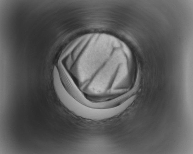 X0000088740920200706282141