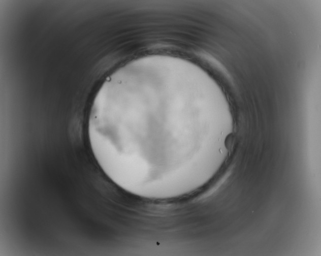 X0000088740921200706282141