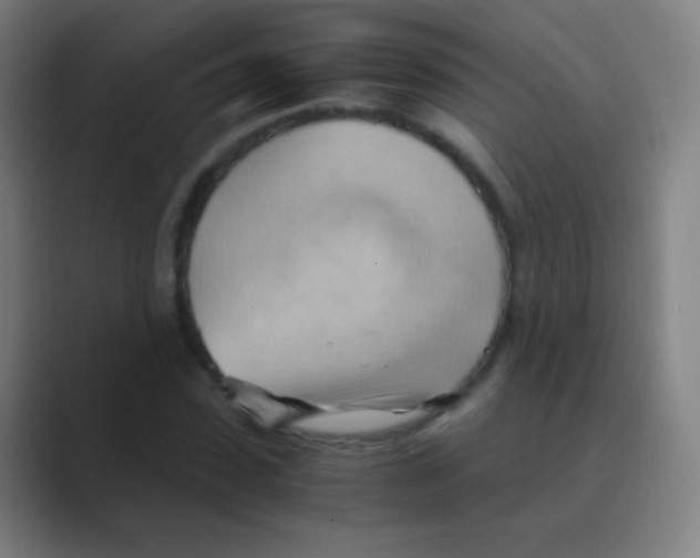 X0000088740923200706282141