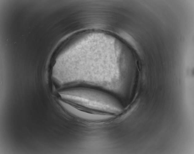 X0000088740924200706282141