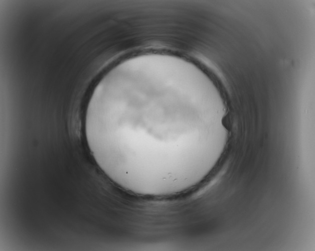 X0000088740925200706282141