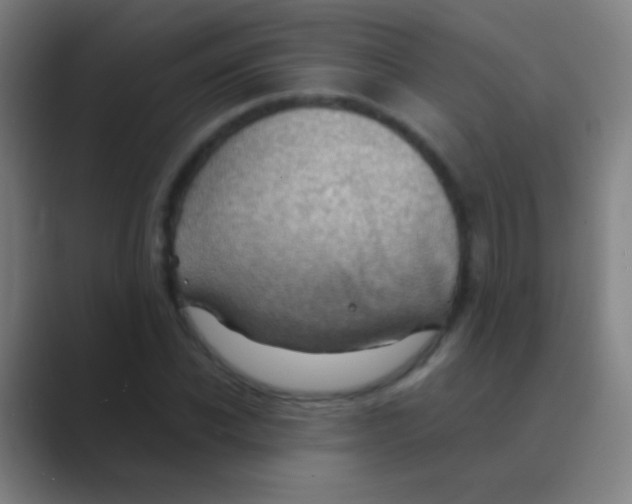 X0000088740926200706282141