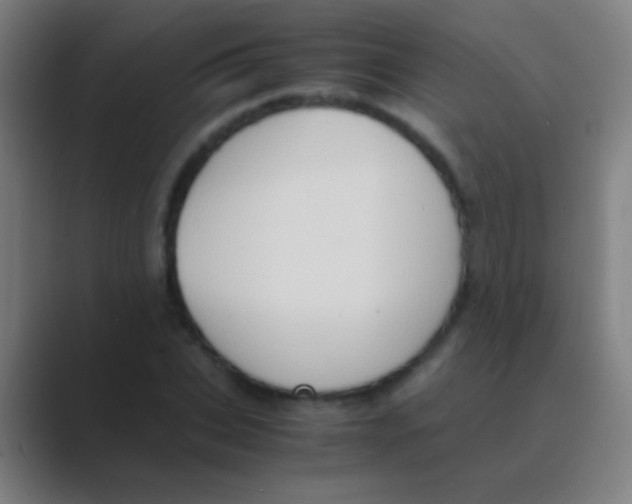 X0000088740927200706282141