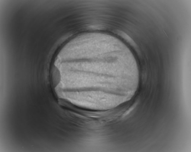 X0000088740930200706282141