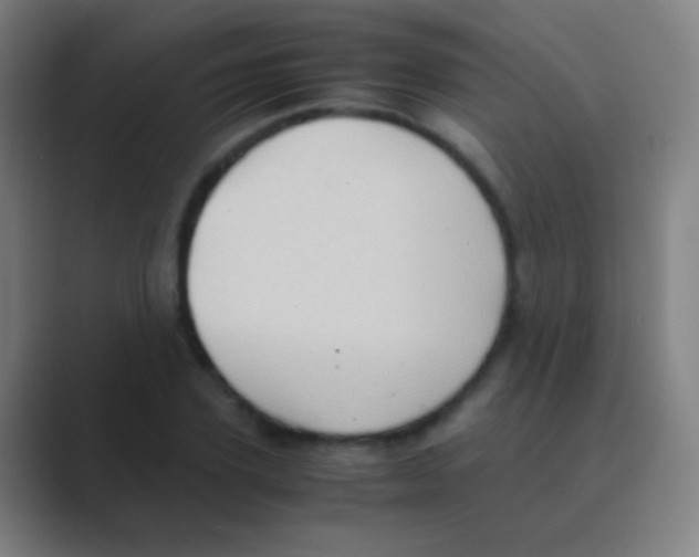 X0000088740931200706282141