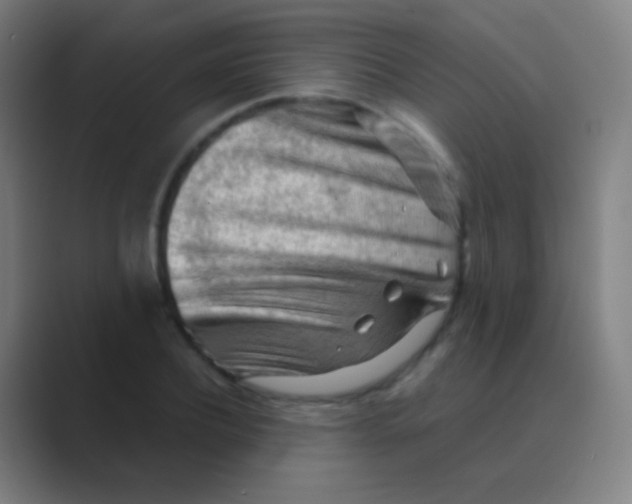 X0000088740932200706282141
