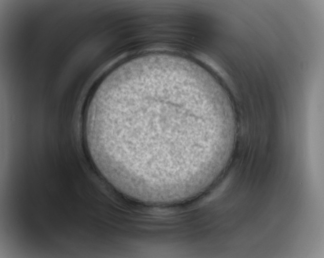 X0000088740933200706282141