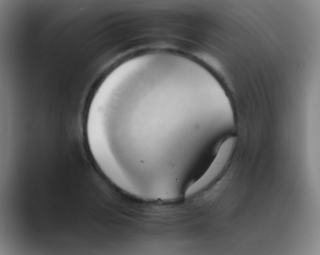 X0000088740935200706282141