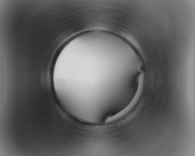 X0000088740936200706282141