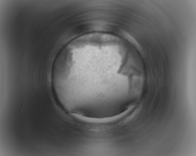 X0000088740938200706282141