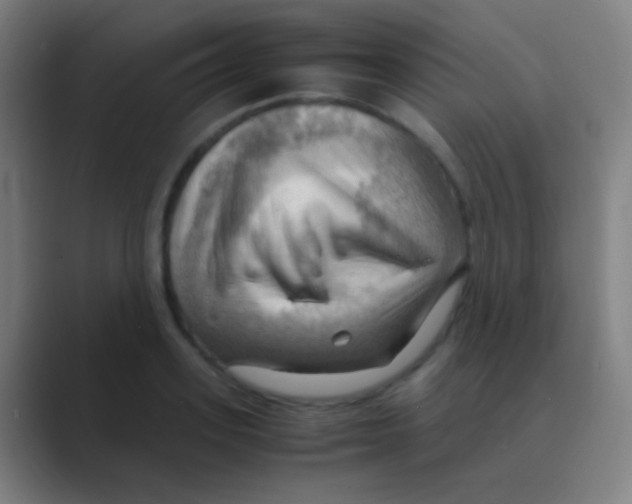 X0000088740939200706282141