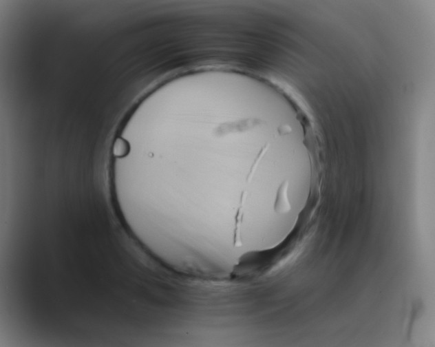 X0000088740941200706282141