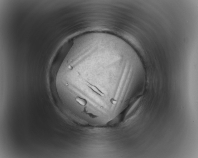 X0000088740942200706282141