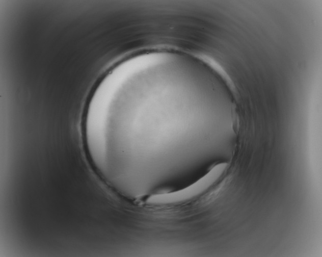 X0000088740943200706282141