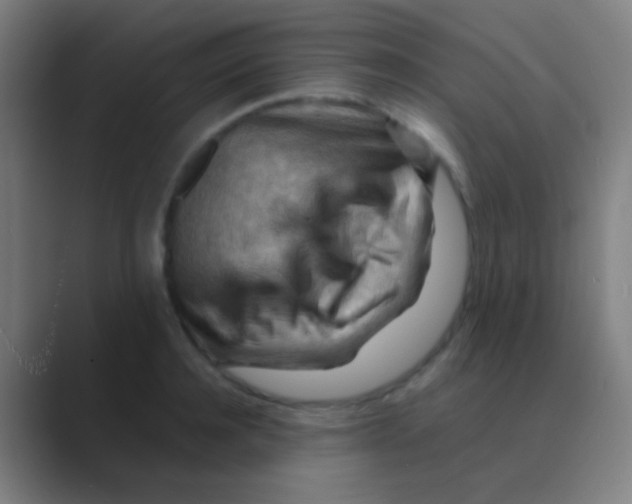 X0000088740944200706282141