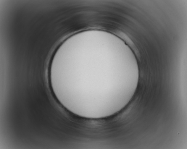 X0000088740947200706282141