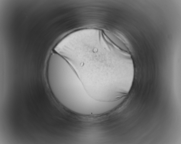 X0000088740948200706282141