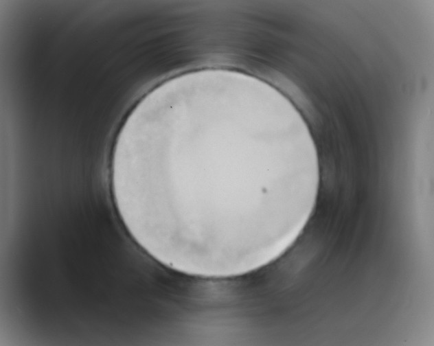 X0000088740950200706282141