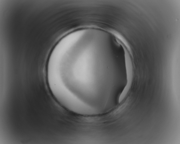 X0000088740951200706282141