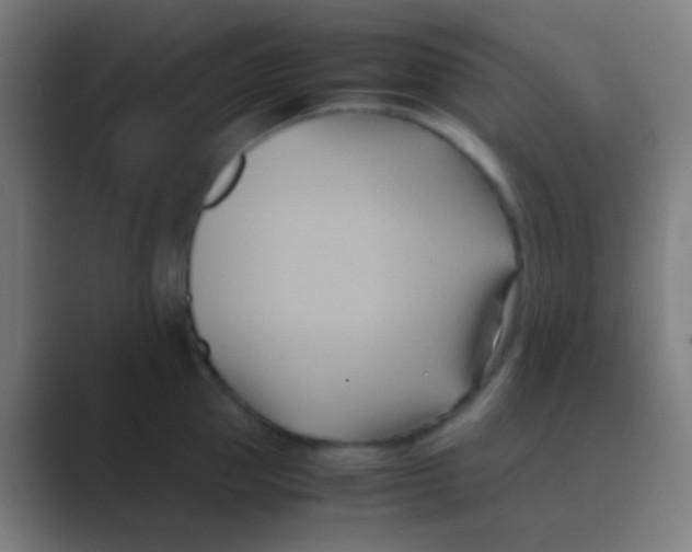 X0000088740953200706282141