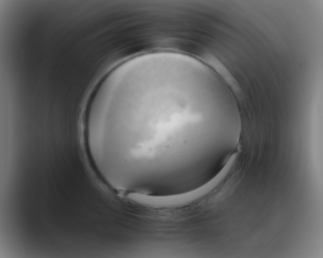 X0000088740955200706282141