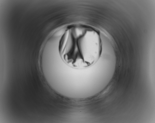 X0000088740956200706282141