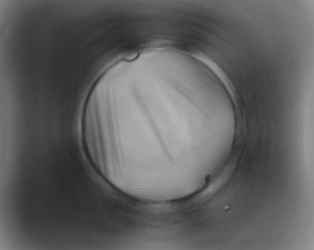 X0000088740957200706282141